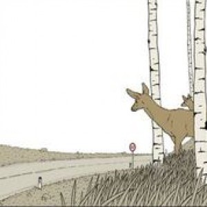roadkill