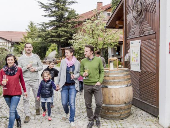 Weinfrühling Kamptal Kremstal Traisental