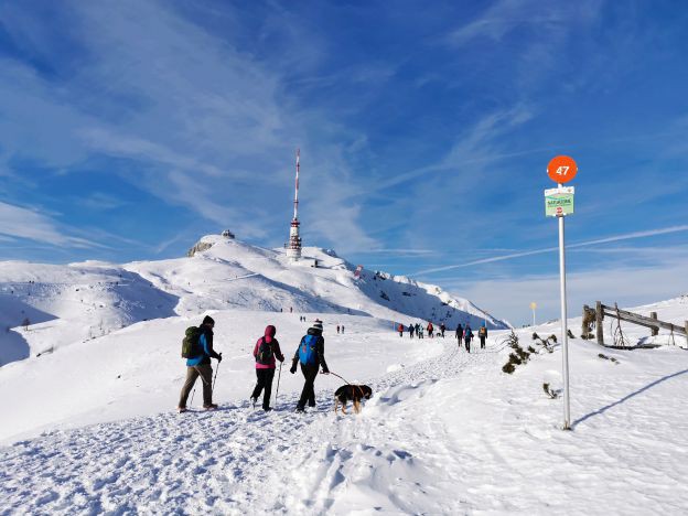 Pilotversuch: kostenloses Busservice in den Naturpark Dobratsch