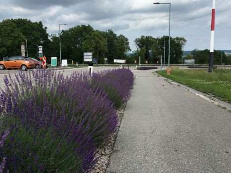 am-035_umgestaltung-der-alten-b4-neu-l1229-in-maissau-_maissauer-berg-mit-geh-radweg-1