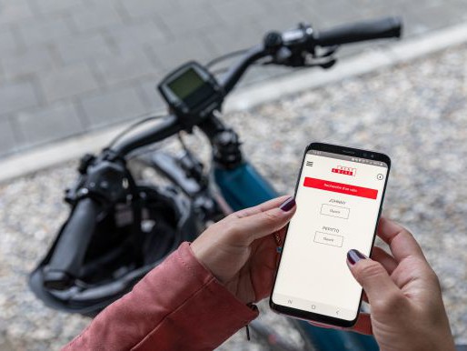 Corporate eBike Sharing 