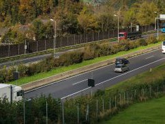 Lärmdämpfung an Verkehrswegen durch Bewuchsstreifen