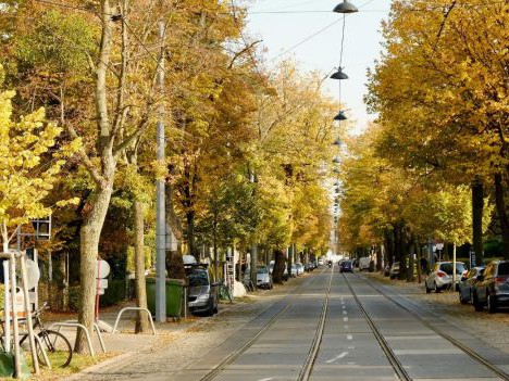 Klimafitte Pötzleinsdorfer Straße