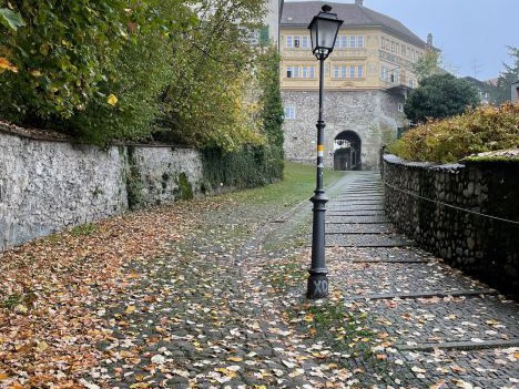 Aufhebung von Mobilitätseinschränkungen und damit einhergehende CO2 Reduktion durch die Schaffung von Begegnungszonen im Randbereich der Bregenzer Fußgängerzone