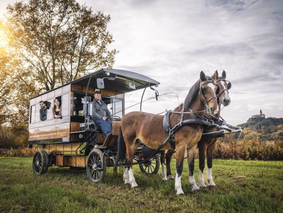 Elektro-Hybrid-Pferdekutsche Südburgenland