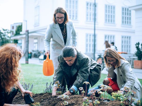 Ein grüner Campus für die Zukunft: Die nachhaltige Mobilitätsstrategie der Universität für Weiterbildung Krems