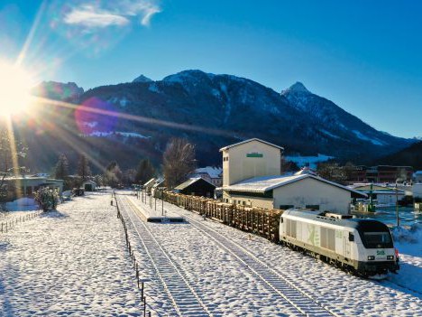 Testzug Schadholztransport Gailtalbahn