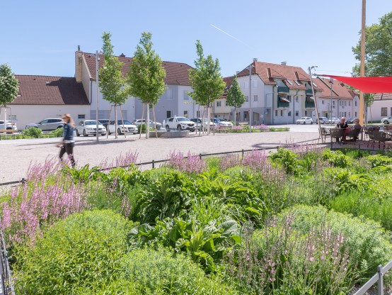 Ortszentrum Lanzenkirchen - belebt und klimafit