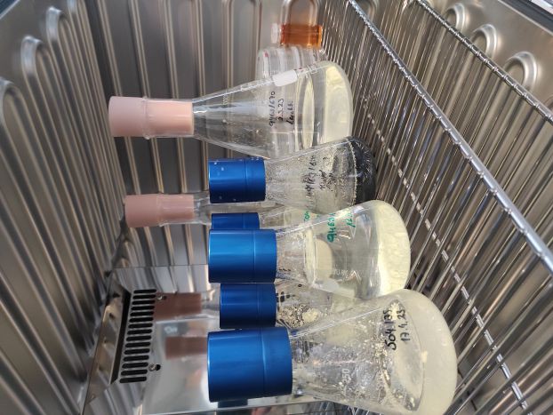 LiCare: Lithium-Carbon-Recycling