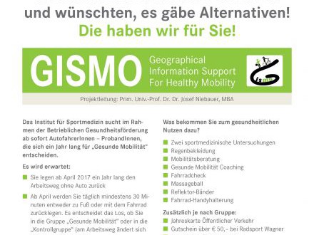 GISMO - Geographical Information Support for Healthy Mobility