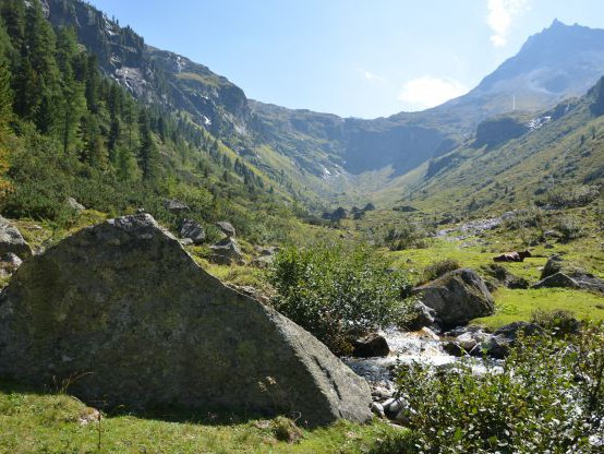 Nationalpark Sommercard Mobil