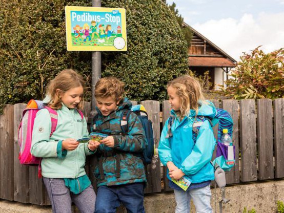 Pedibus