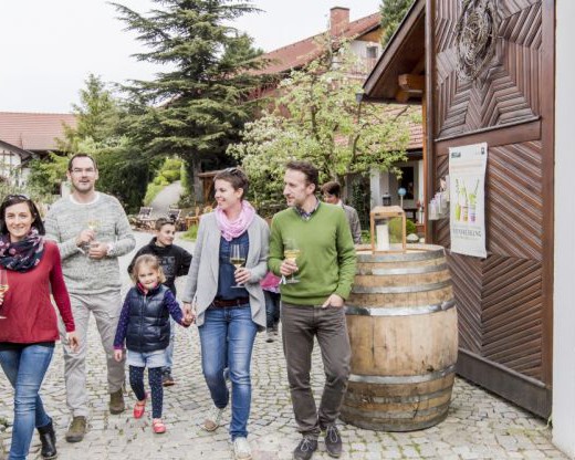 Weinfrühling Kamptal Kremstal Traisental