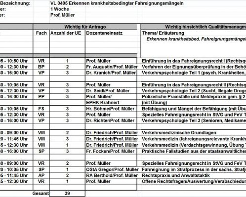 Ungeeignete Lenker erkennen - Gefahren vermeiden