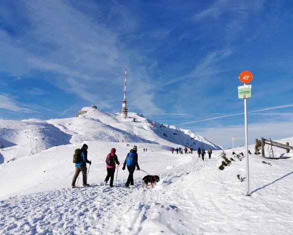 Pilotversuch: kostenloses Busservice in den Naturpark Dobratsch
