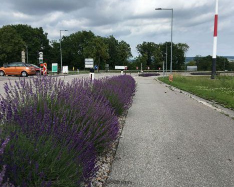 am-035_umgestaltung-der-alten-b4-neu-l1229-in-maissau-_maissauer-berg-mit-geh-radweg-1