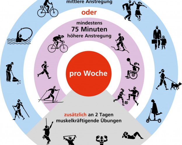better2work - Betriebliches Mobilitätsmanagement und betriebliche Gesundheitsförderung auf den Punkt gebracht