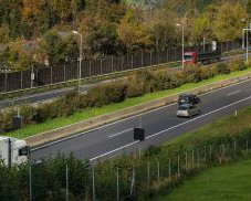 Lärmdämpfung an Verkehrswegen durch Bewuchsstreifen