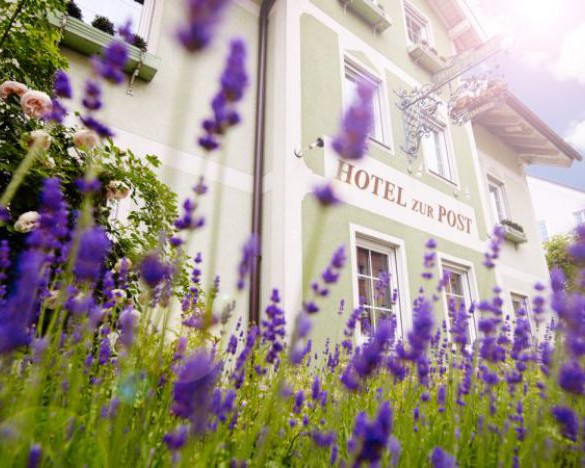 GoGreen ins Grüne Bio-Hotel zur Post 