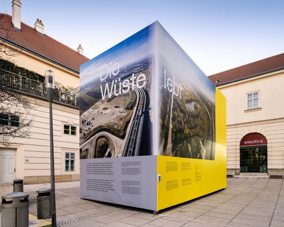 DIE WÜSTE LEBT
