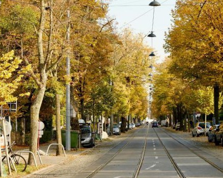 Klimafitte Pötzleinsdorfer Straße