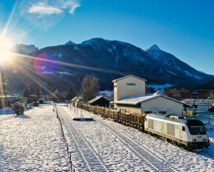 Testzug Schadholztransport Gailtalbahn