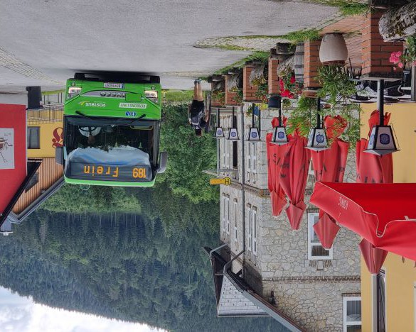 Bus zum Berg: Zwischen Mürzzuschlag und Mariazell mit dem Bus 189 durch den Naturpark Mürzer Oberland 