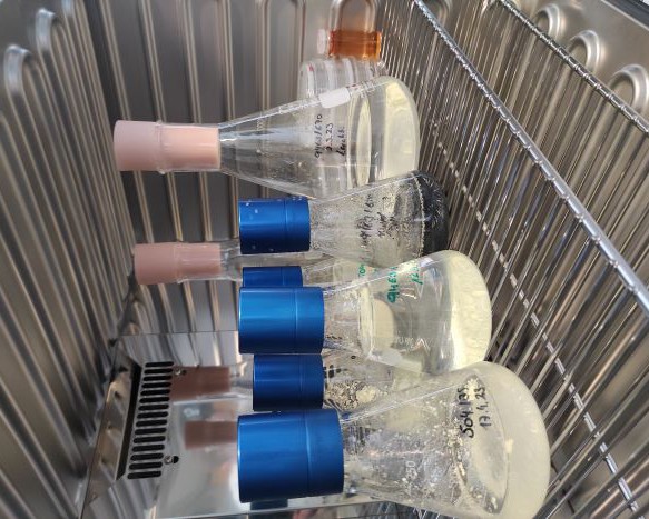 LiCare: Lithium-Carbon-Recycling