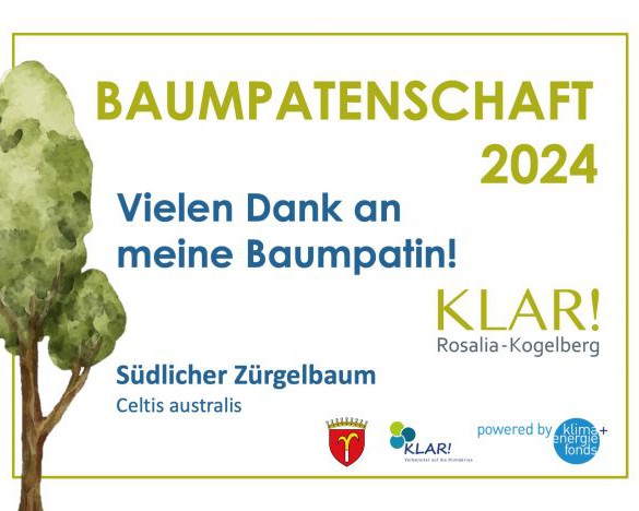 Begrünung im öffentlichen Raum durch Baumpatenschaften