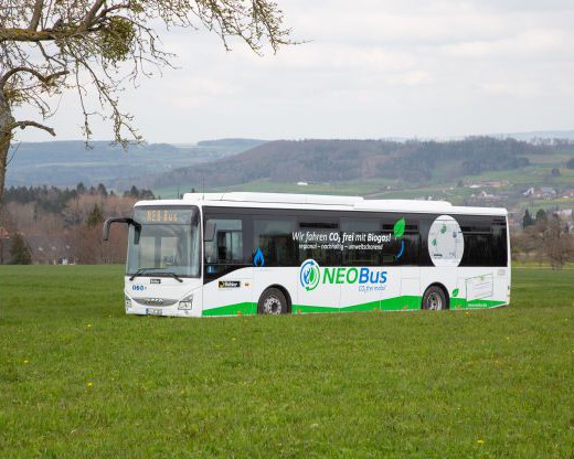 NEOBus