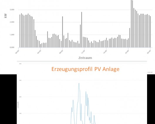 Eigenstrom2Go