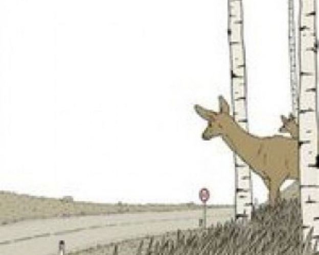 roadkill