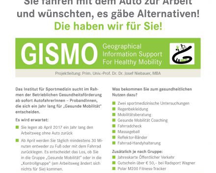 GISMO - Geographical Information Support for Healthy Mobility