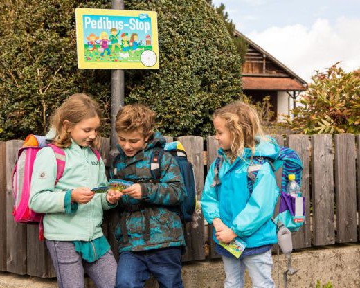 Pedibus