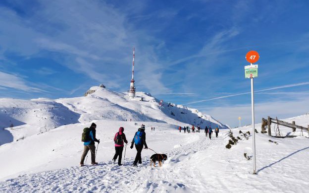 Pilotversuch: kostenloses Busservice in den Naturpark Dobratsch