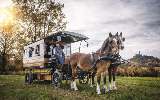 Elektro-Hybrid-Pferdekutsche Südburgenland