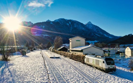 Testzug Schadholztransport Gailtalbahn