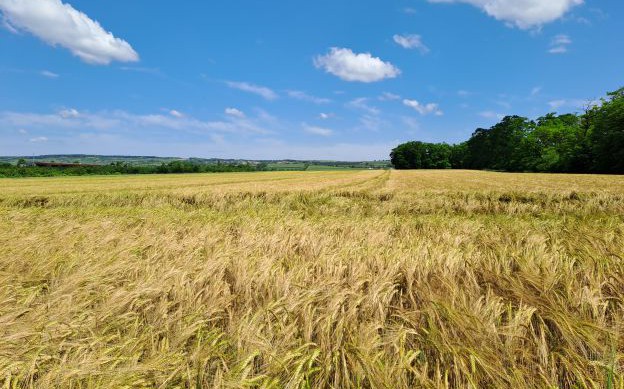 Grünlandfreihalteflächenwidmung in Fels am Wagram