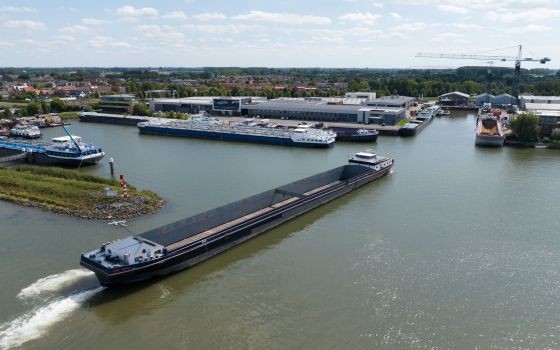 Flagships