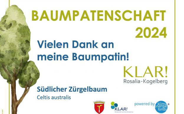 Begrünung im öffentlichen Raum durch Baumpatenschaften