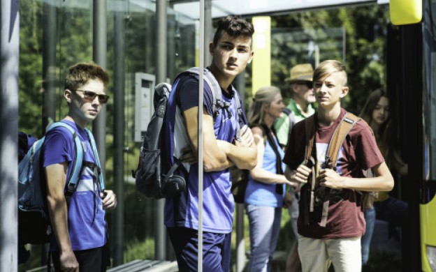 faircardundmaximofair